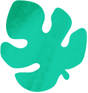 SplatoonRaiders_splat_deco_01.png