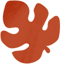 SplatoonRaiders_squad_deco_01_leaf.png
