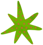 SplatoonRaiders_squad_deco_01_star.png