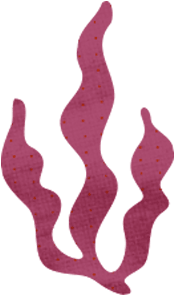 SplatoonRaiders_squad_deco_02.png