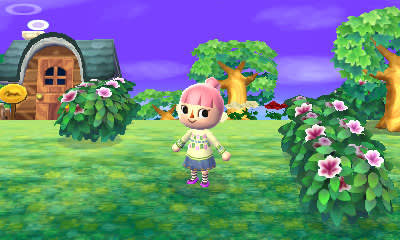 Animal Crossing Welcome amiibo Screenshot 11